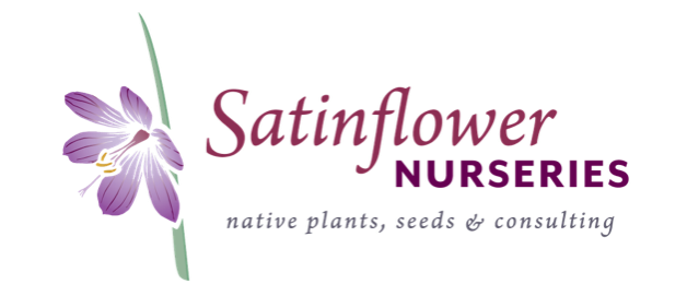Satinflower Nursery